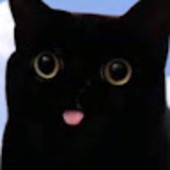 Meet your Posher, Summer - Picture 1 of 1